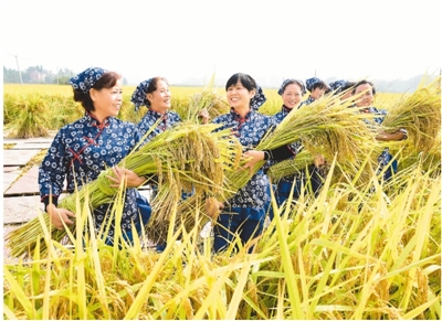 农旅融合 重拾乡愁