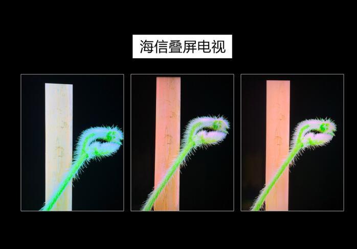 中怡康：激光电视蝉联畅销榜冠军，海信电视稳居第一-家电圈官网