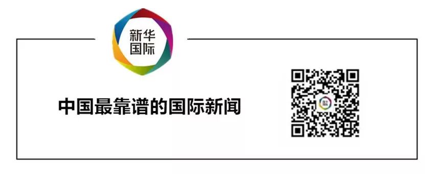 又到“进博时间”！新华社推出创意微视频《汇·惠》