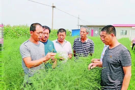 深化拓展“莱西经验”回答乡村振兴“时代之问”纪实