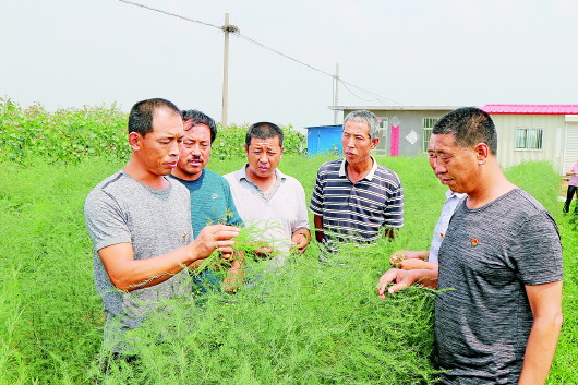 怎么才算申请领域的优质回答_通过优质回答的经验之路_二级口译通过经验