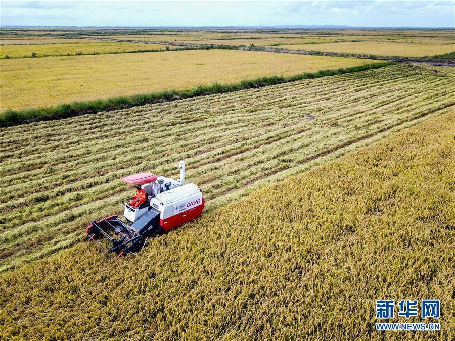 中国农业技术帮助莫桑比克改善粮食问题