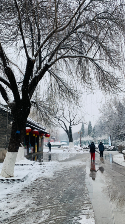 泉城济南瑞雪兆丰年