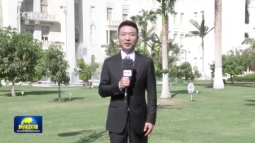 视频丨习近平同埃及总统塞西会谈