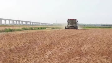 【习声回响·聆听温暖中国】鸟鸣青山绿水
