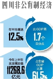 非公有制经济gdp(2)