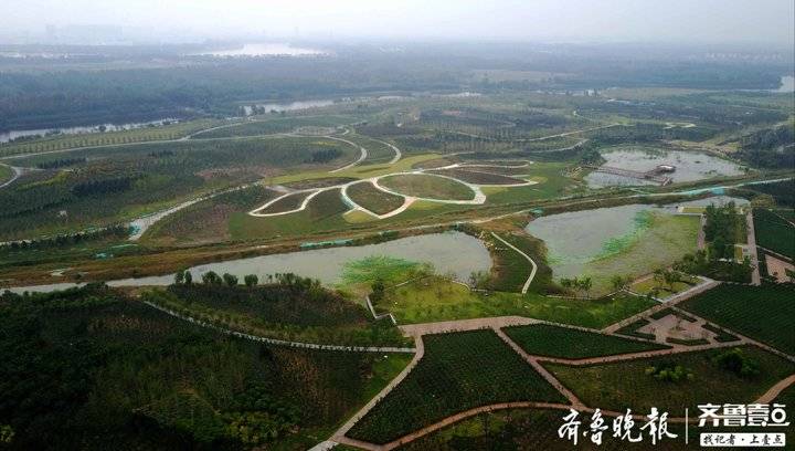 濟南先行區核心的龍湖溼地新景觀小橋流水勝似江南景