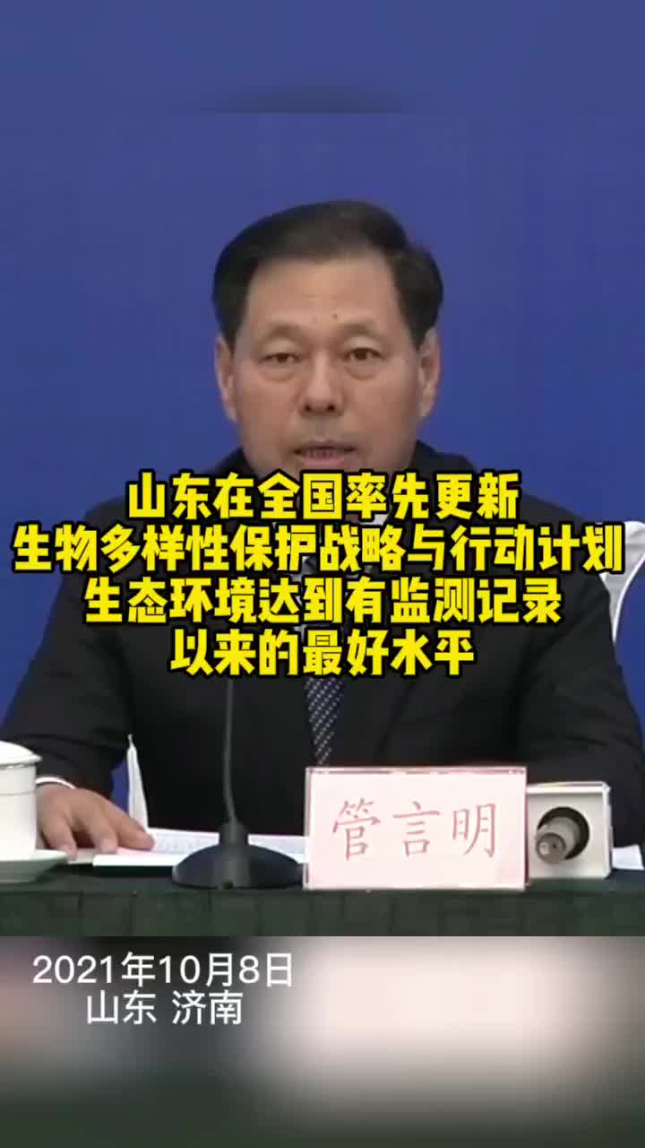 孙艳梅在森林中