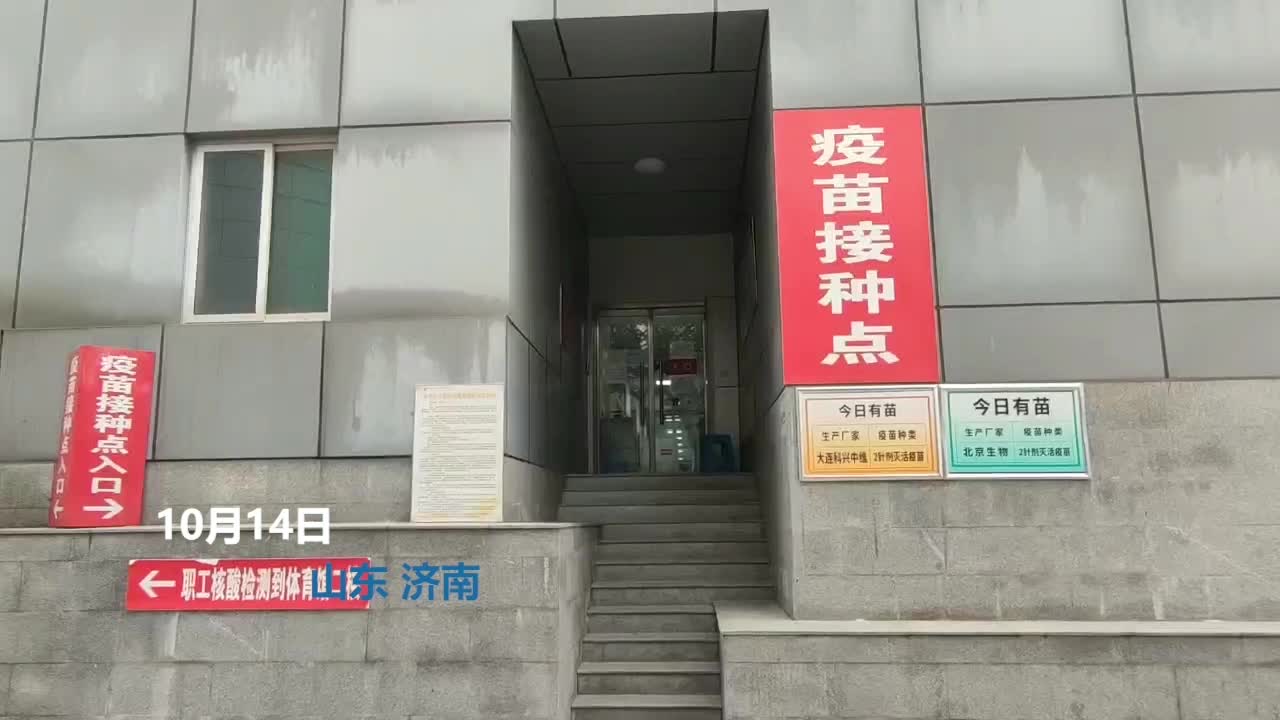 奇幻世界的森林
