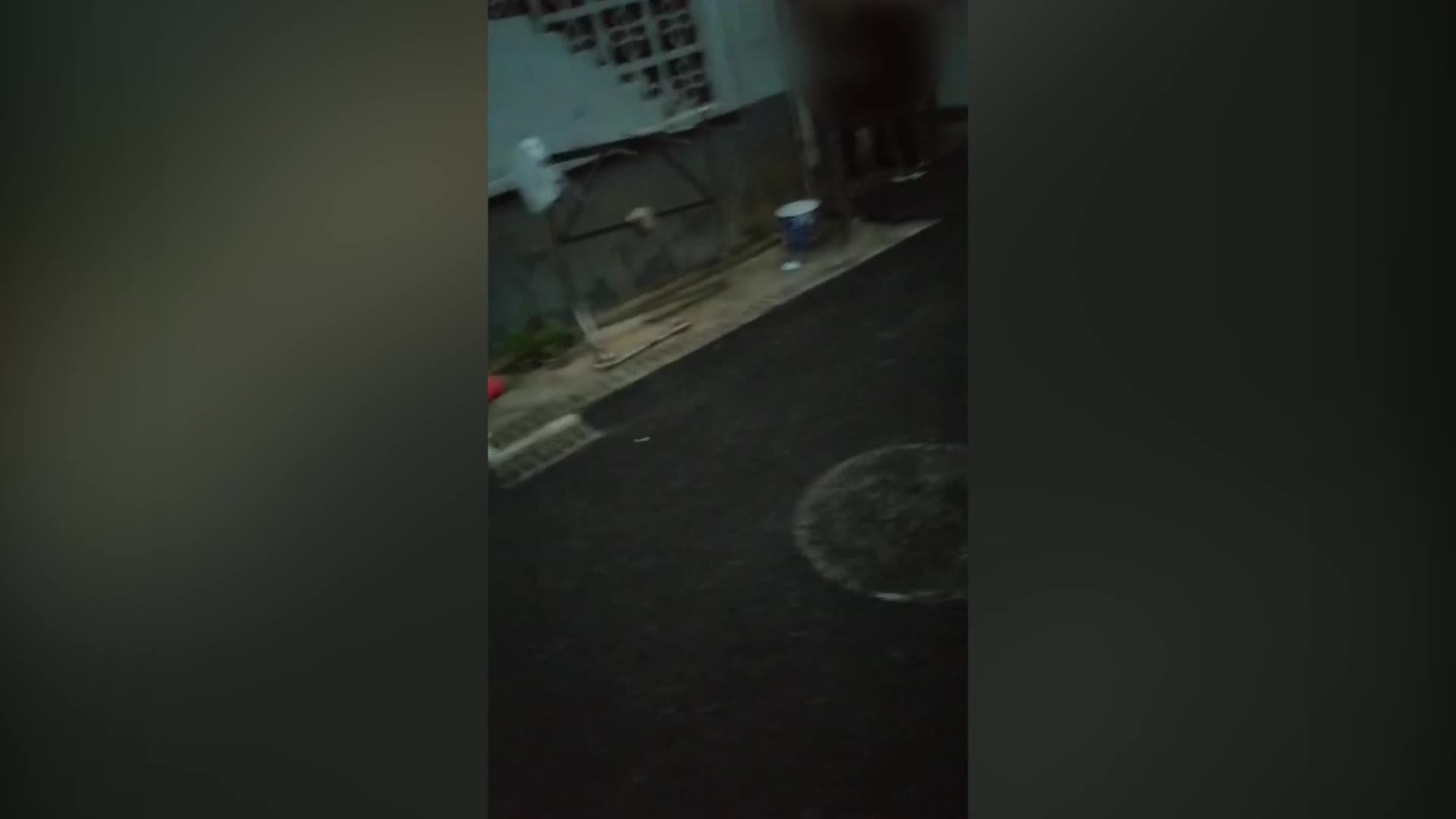 图片二