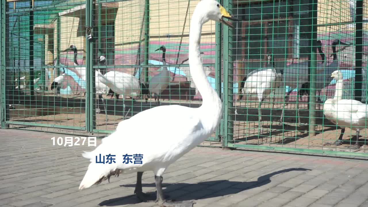购物分享