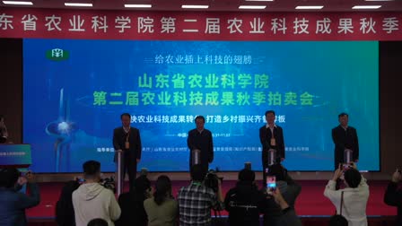 理性玩彩图