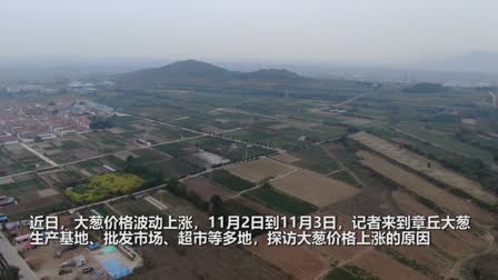 高清视频截图