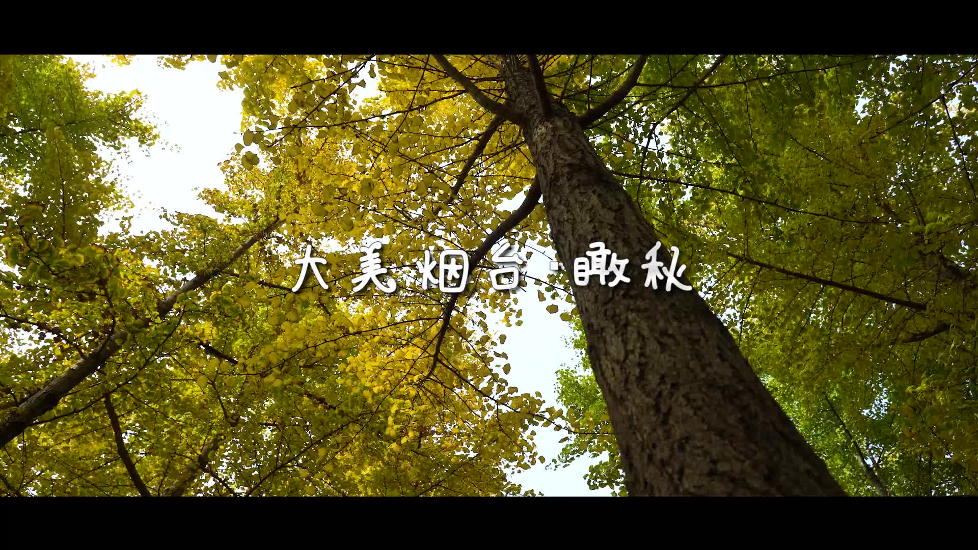 原声视频的应用