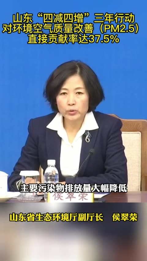 女性角色在多妻制影片中的表现