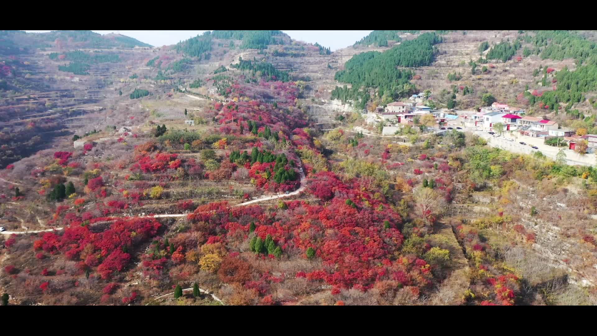热点抖阴传媒管理有限公司团队