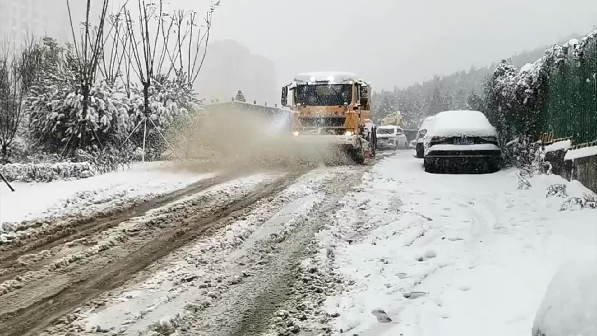 艾琳在死亡之岛探险