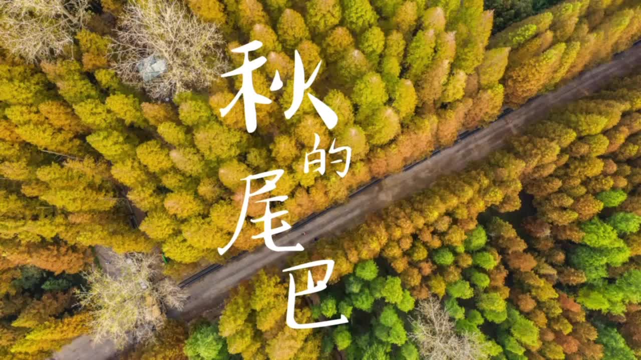 粉色苏州晶体艺术品