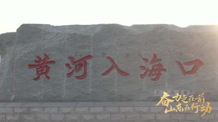 平台创作者后台
