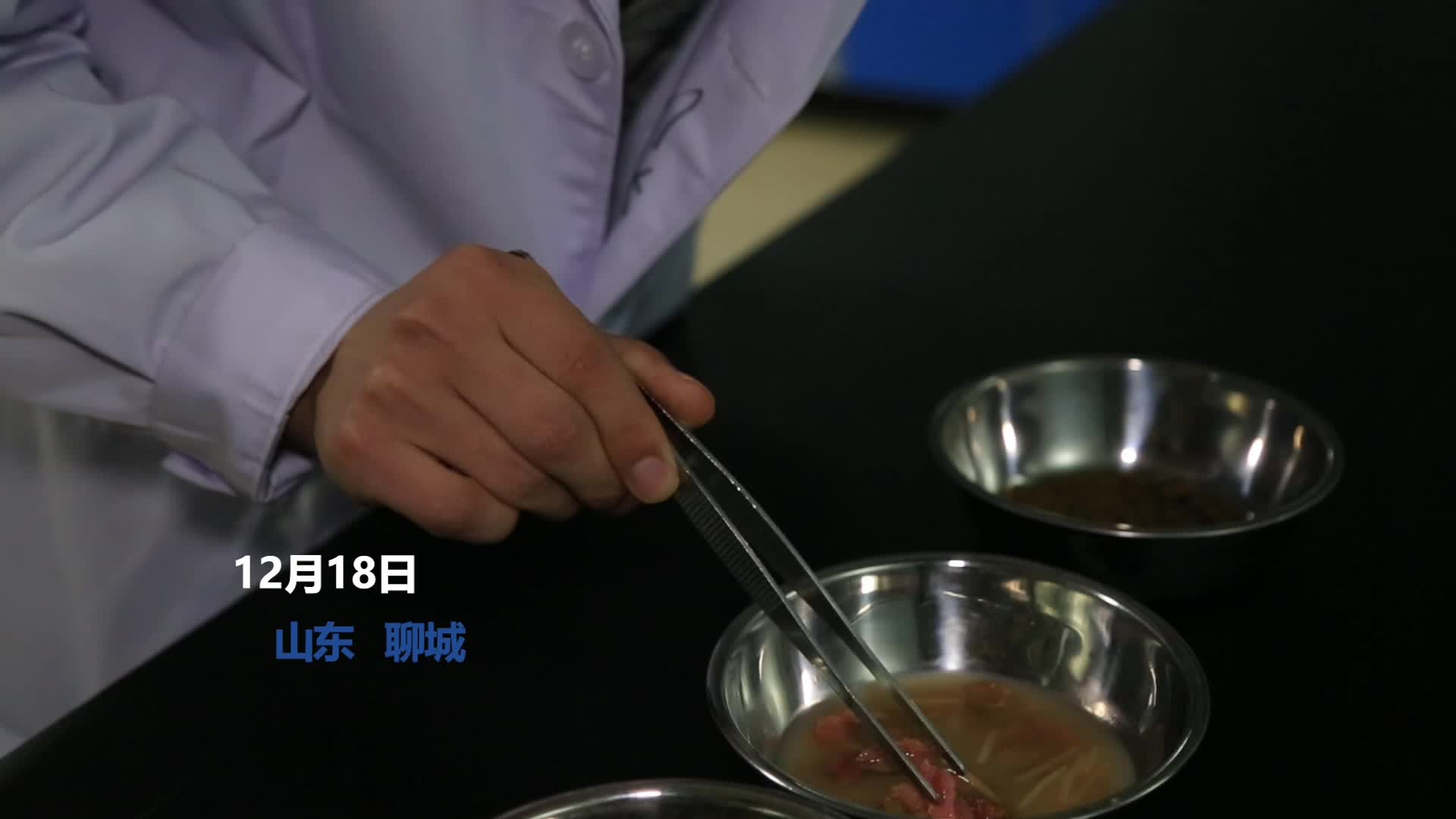 社交媒体上的讨论