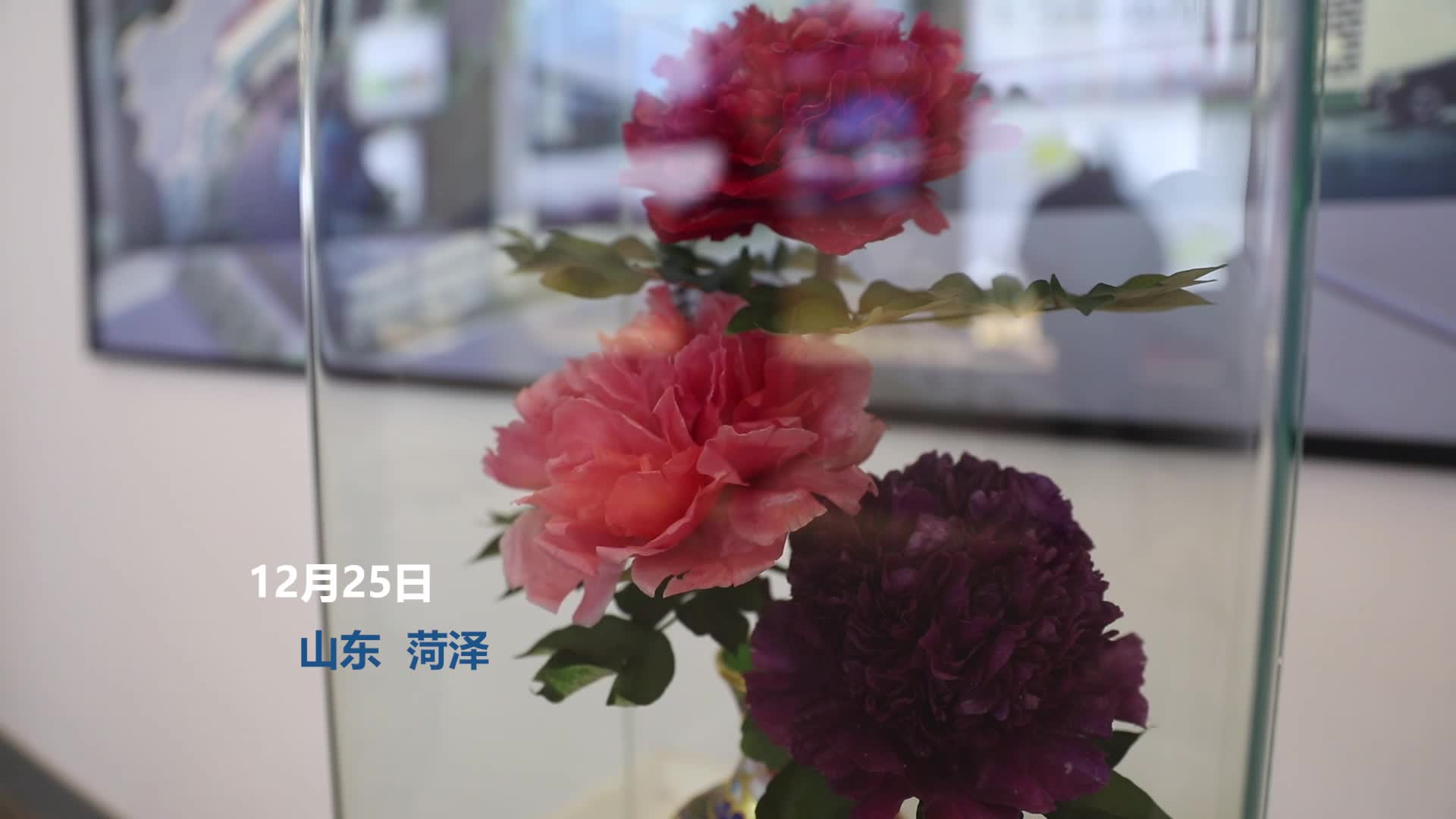 墨沉渊与苏念