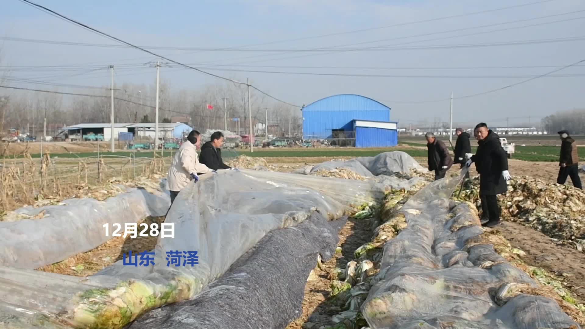 图片一