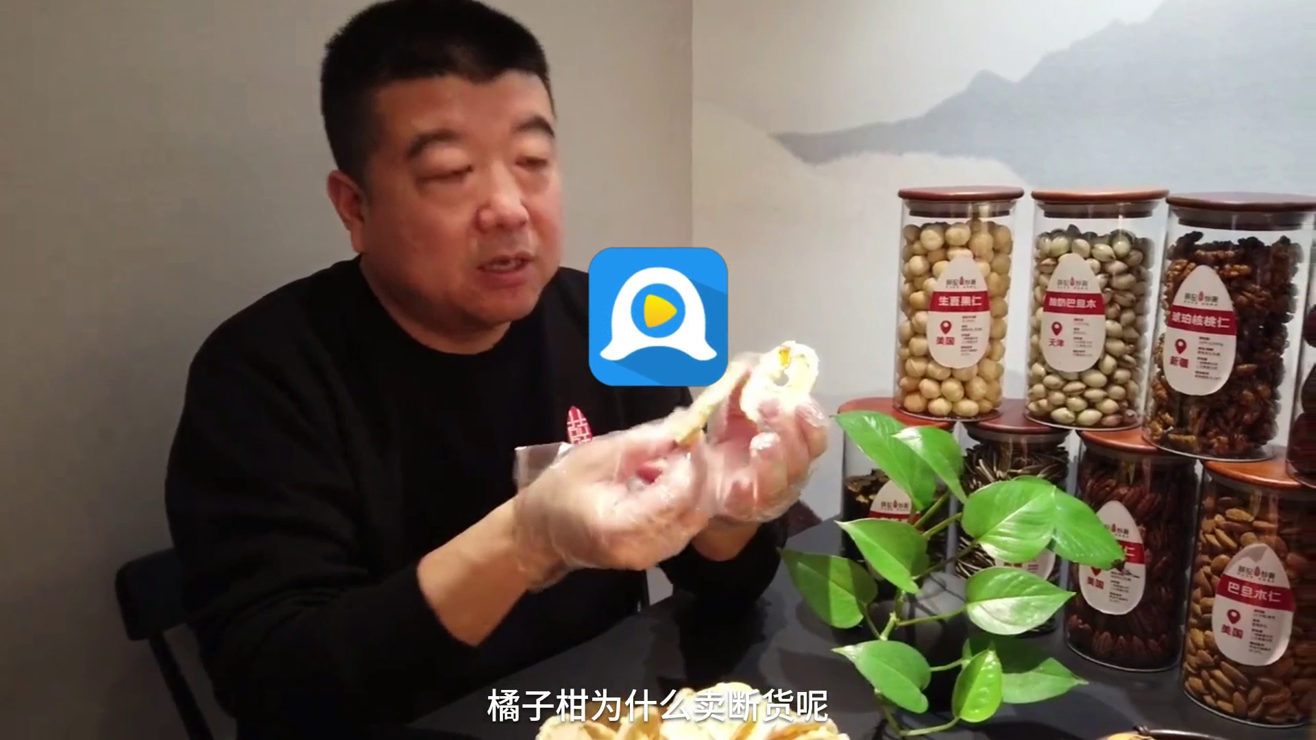 域名与IP地址关系图