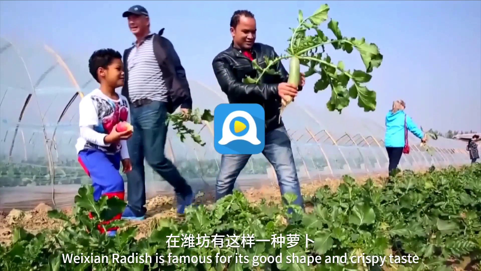 积木软件案例