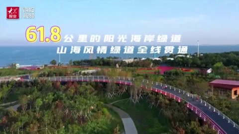 平台的社会责任