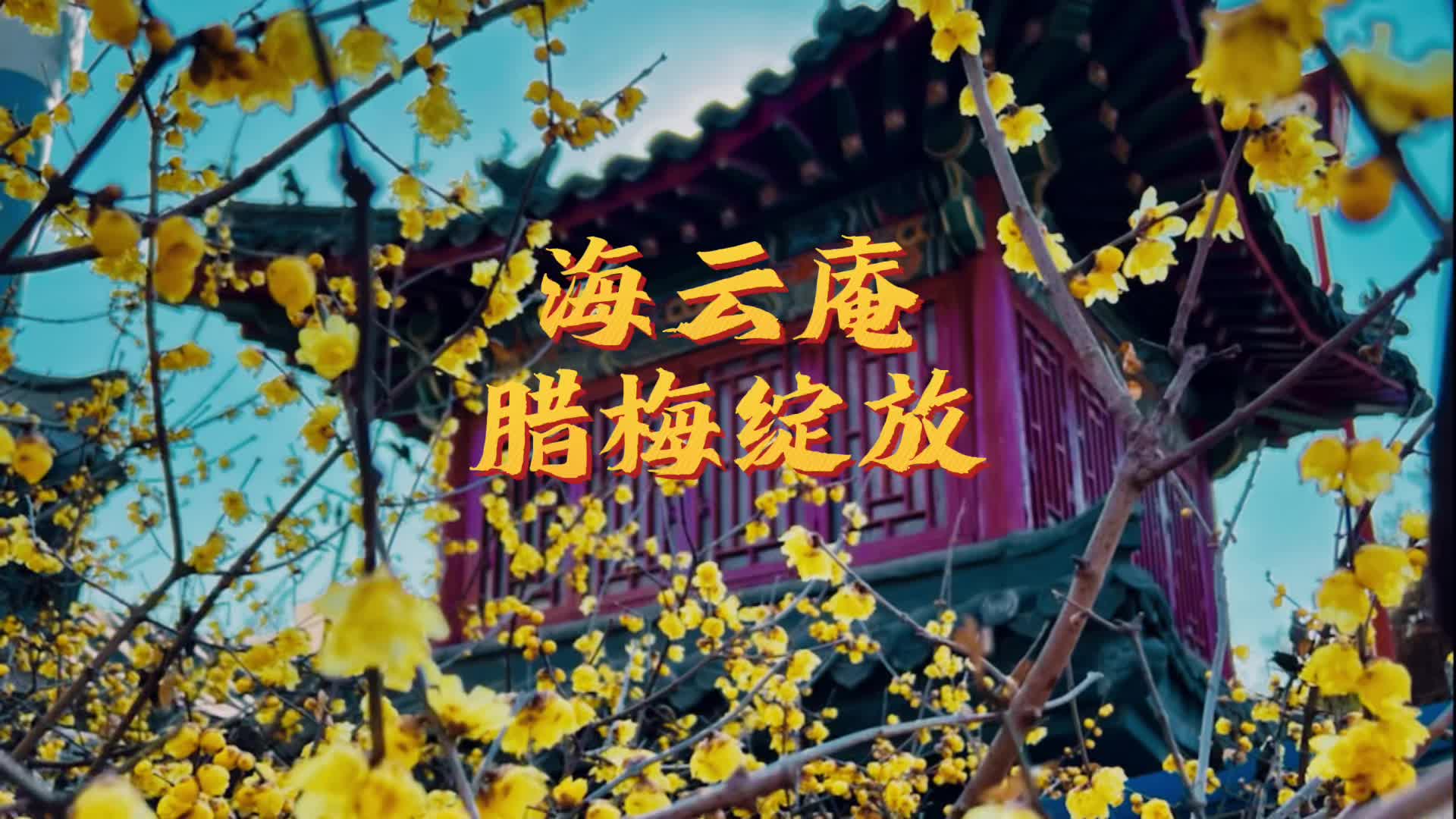 搞笑的DIY场景