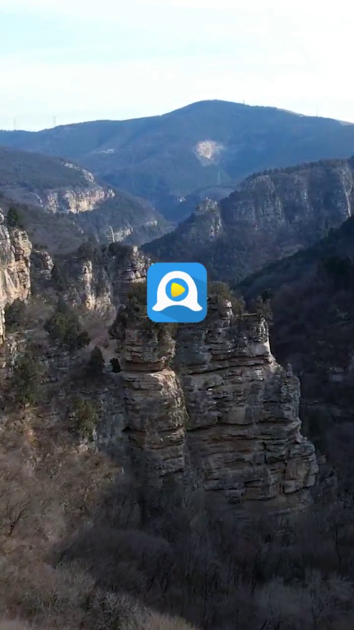 蝴蝶忍与队友的合影