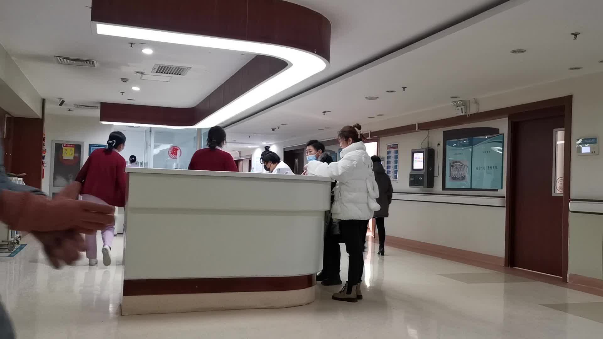 抖音Plus色板在不同视频类型中的应用