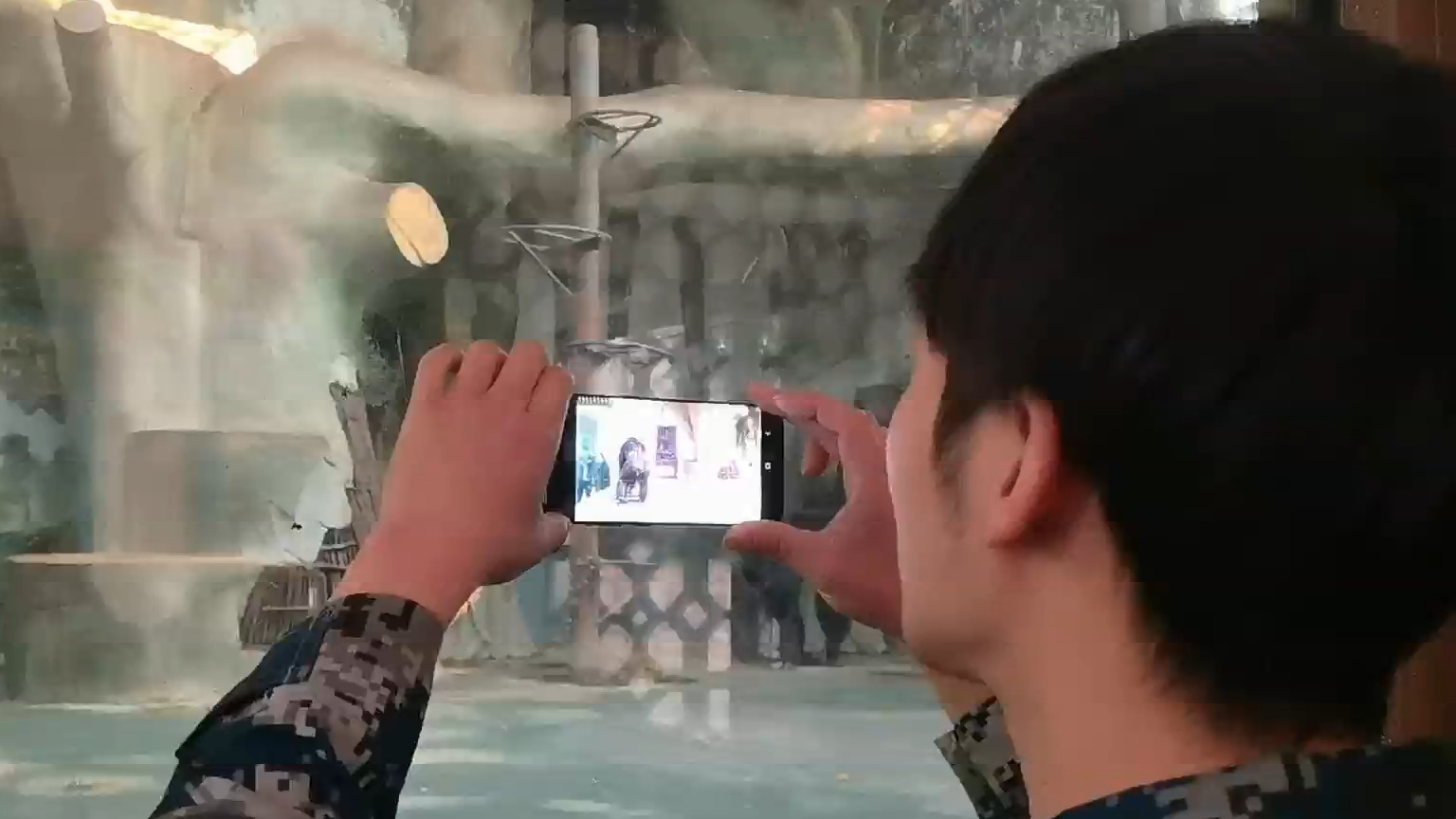 图片1
