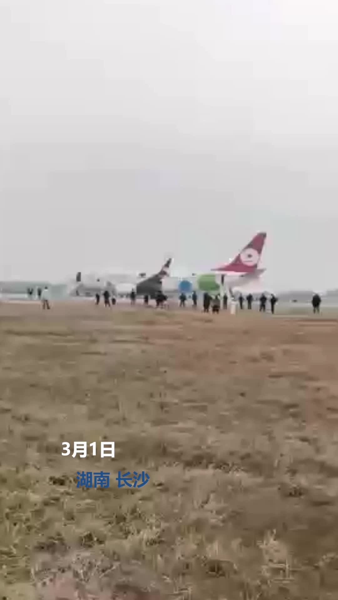 苏菲