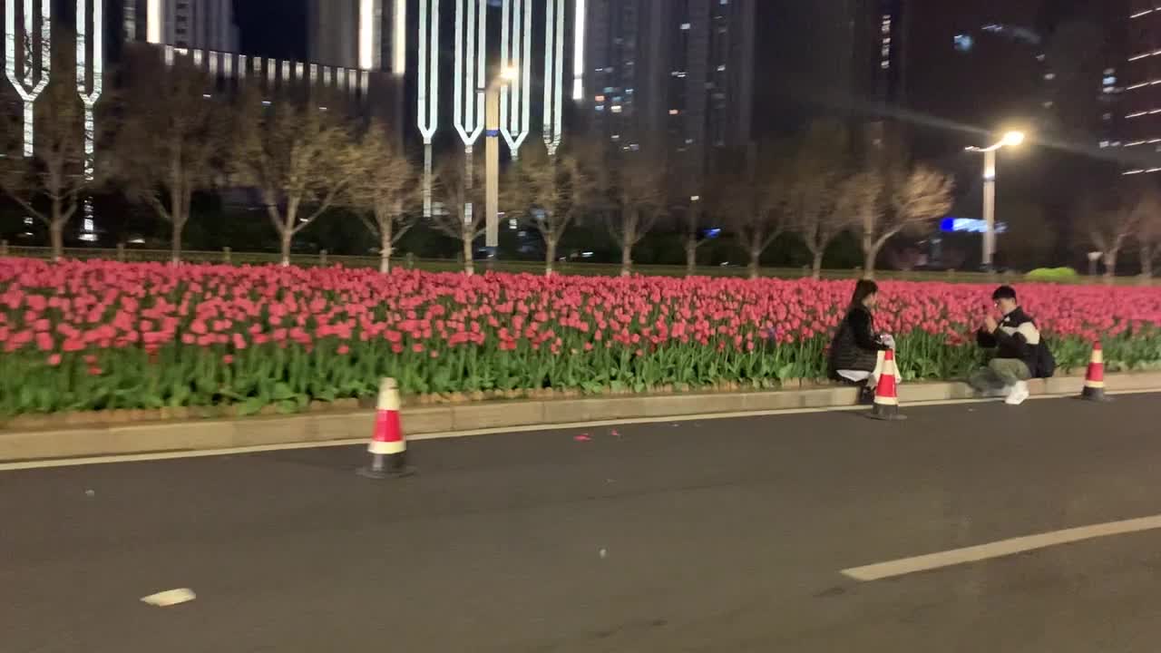 海外华人文化交流