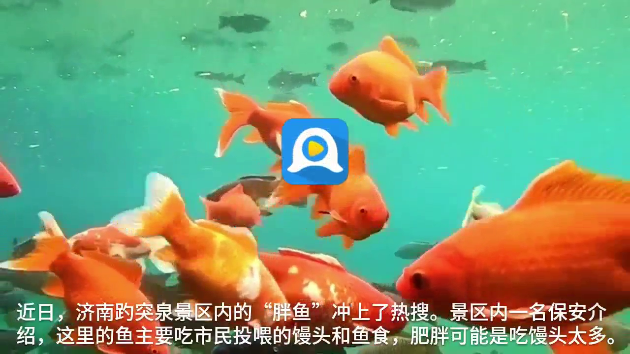 温暖的桥小镇景色