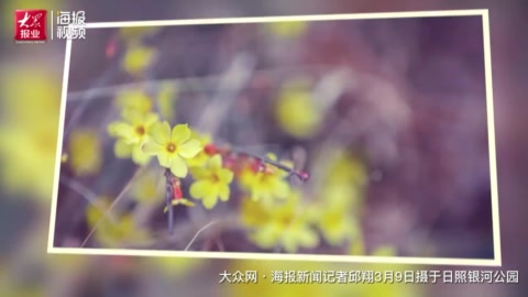 MV剧照一