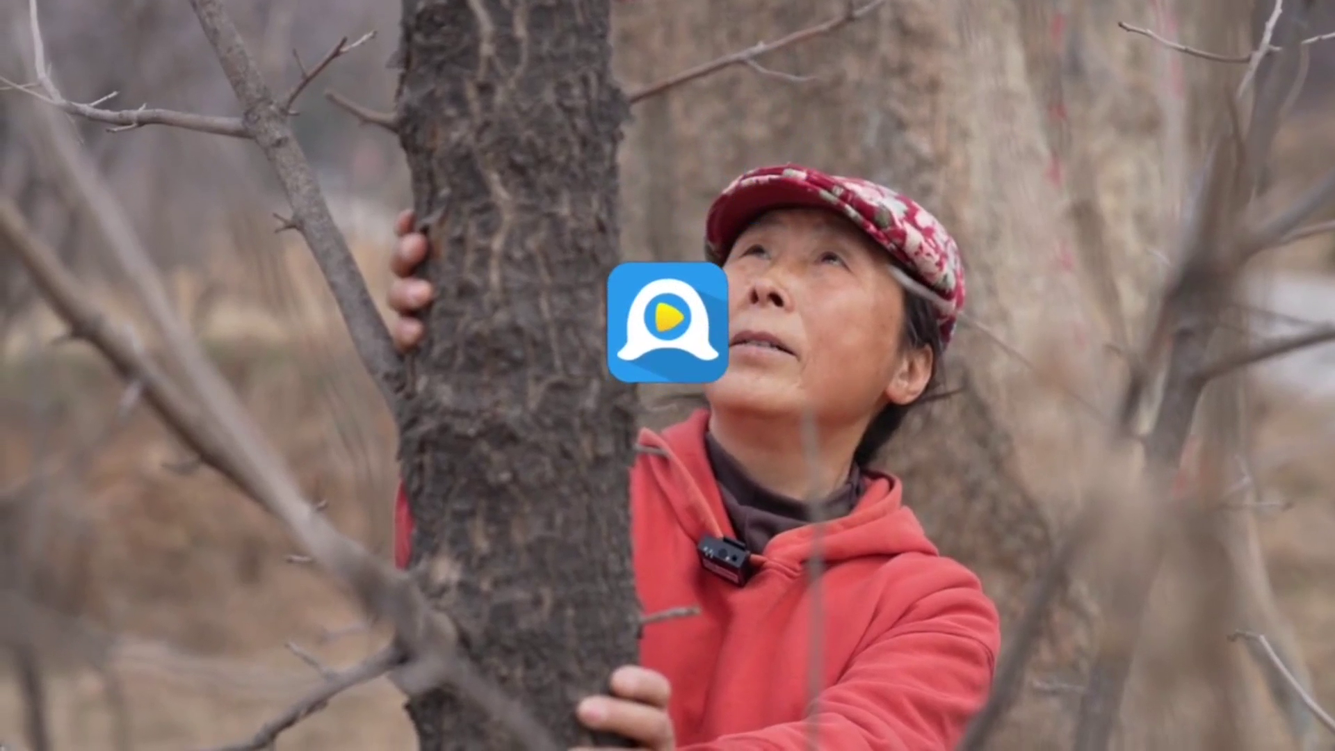 积极互动与持续更新的重要性