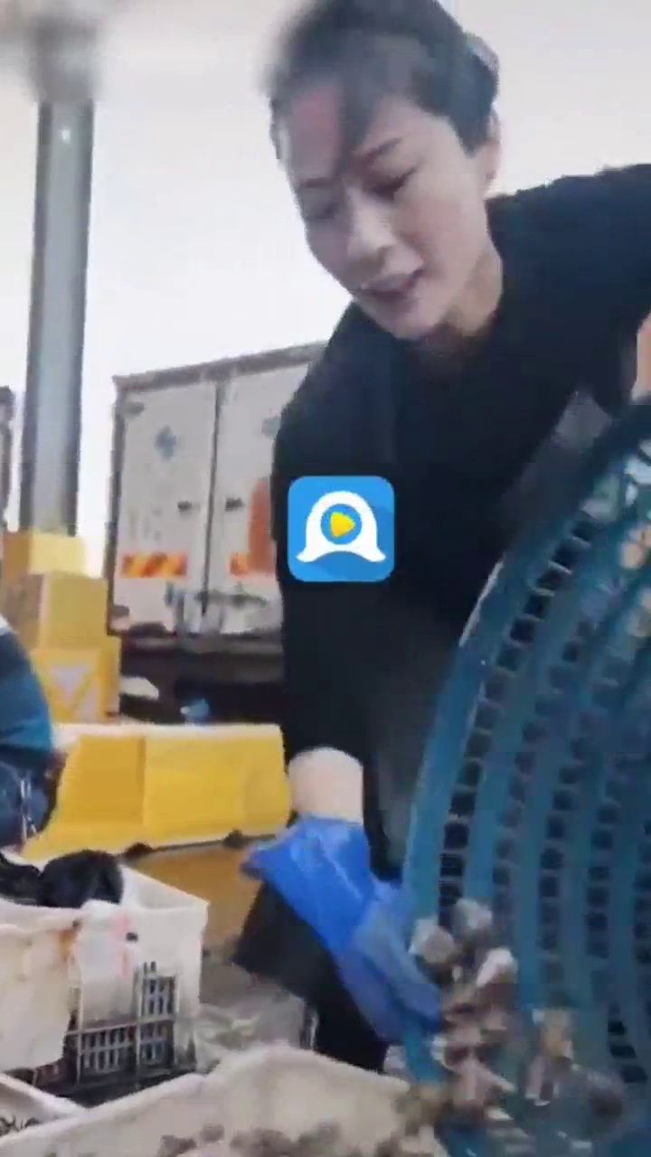安全风险示例