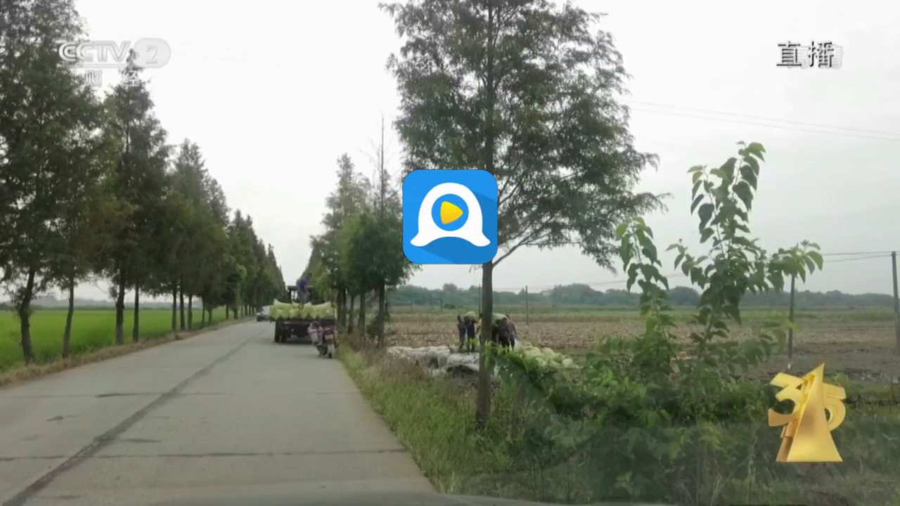 二区精华液展示