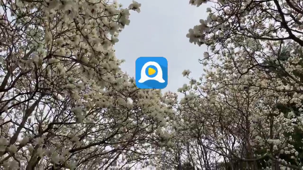 樱花动漫app的界面