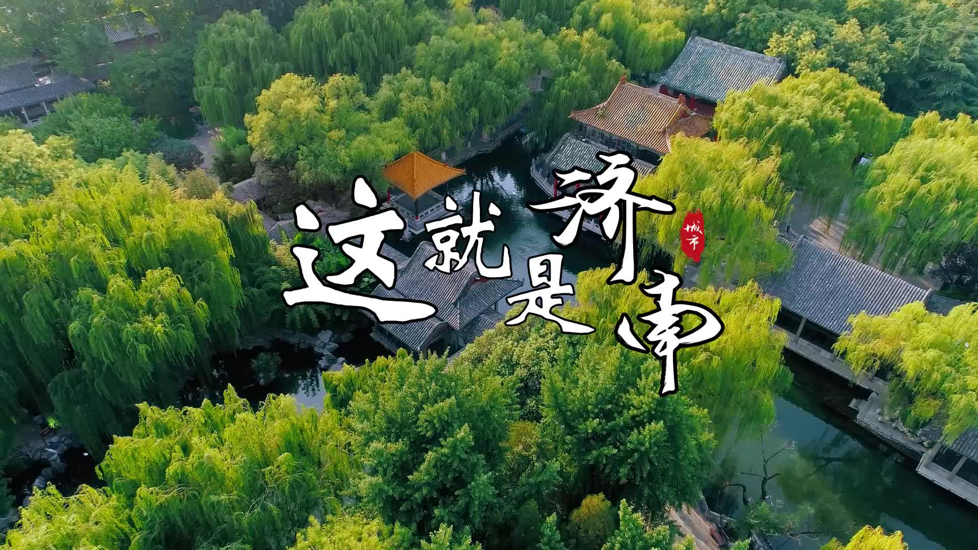 葡萄藤上挂满成熟的葡萄