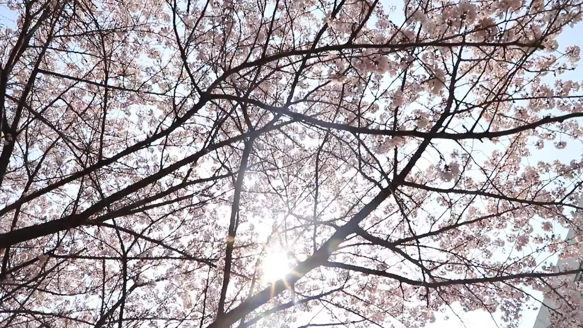 亚洲精品一区二区三区影迷热议