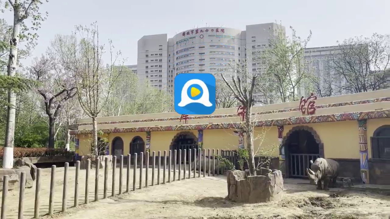 地下偶像剧照