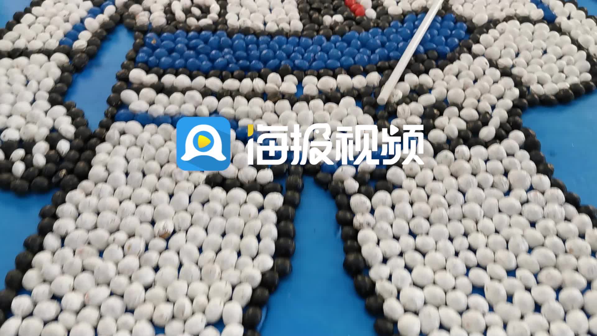 多元文化的象征