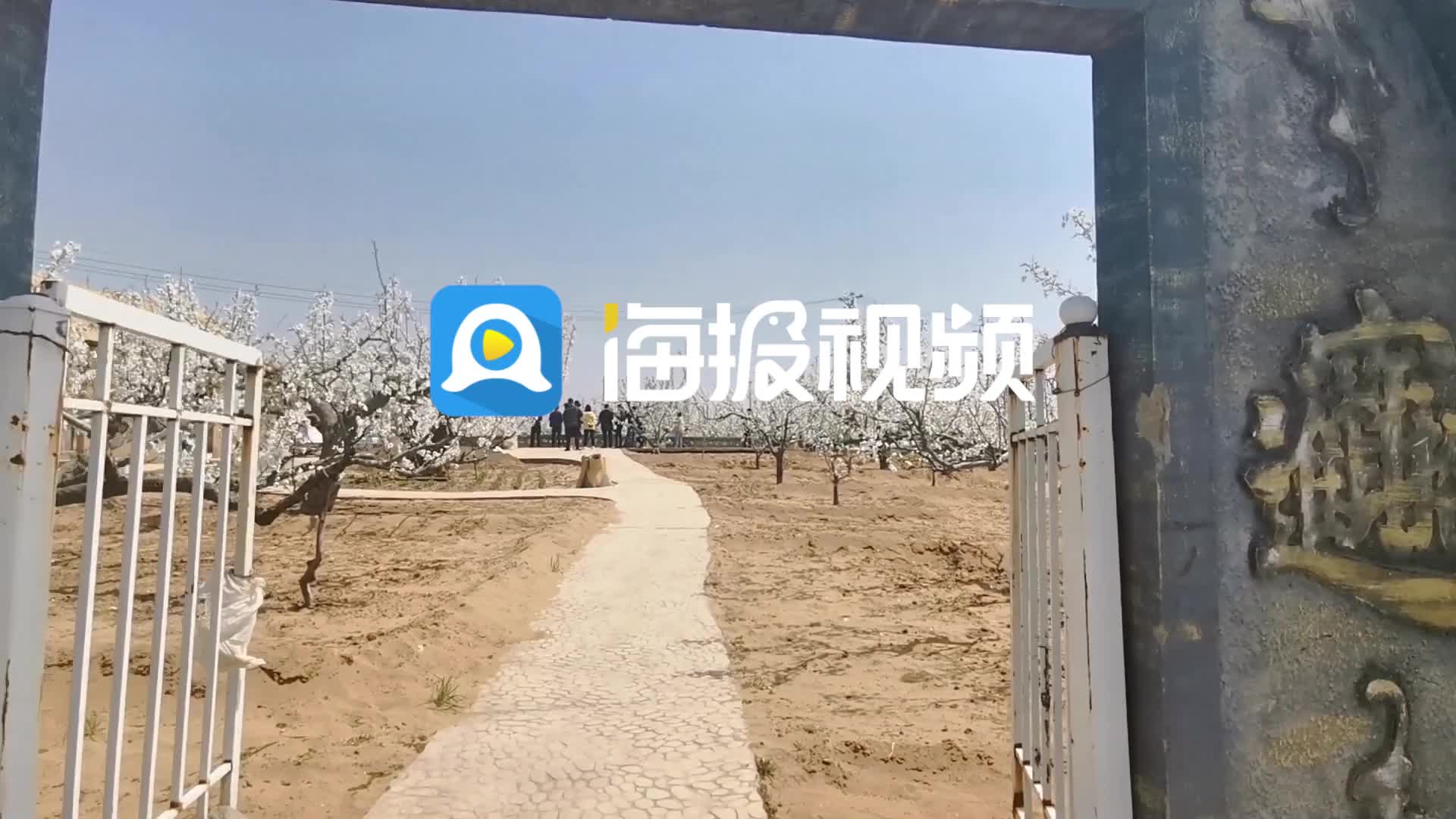 平台页面
