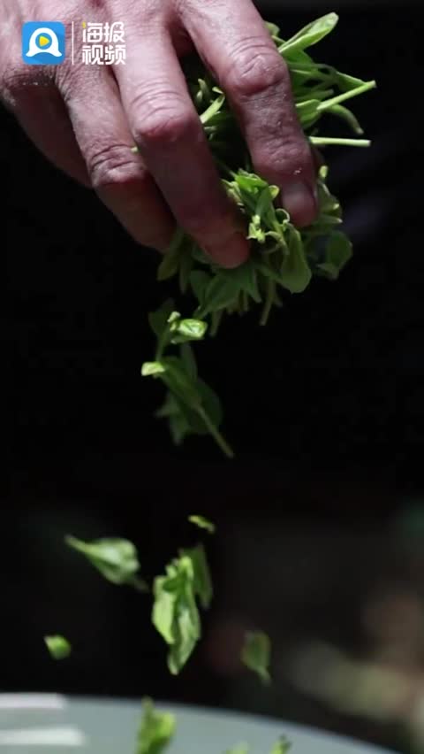 用户风险