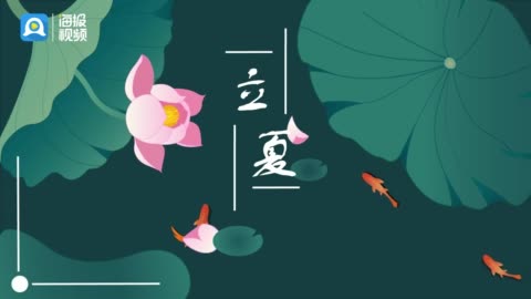 安装常见问题解决