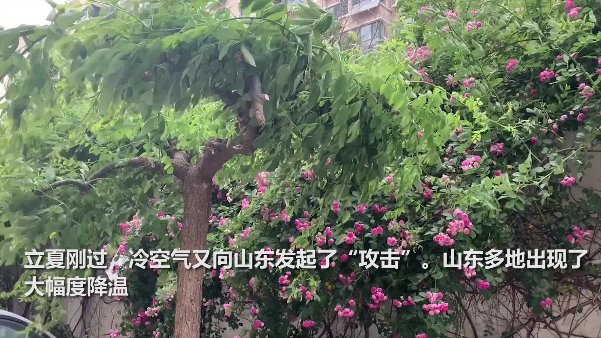 高清画面示例
