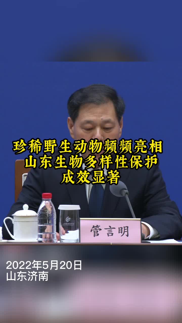 老爷爷和电视
